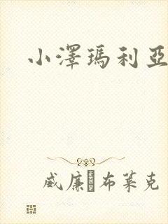 小泽玛利亚作品封面