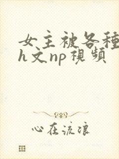 女主被各种调教h文np视频