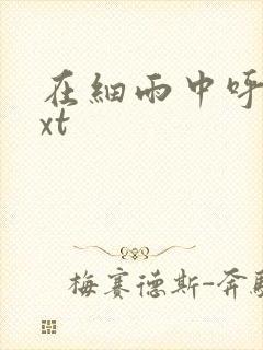 在细雨中呼喊txt