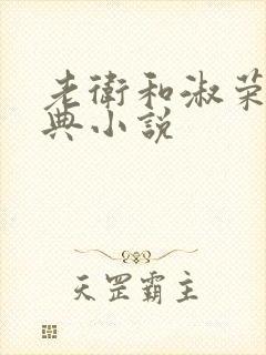 老卫和淑荣的经典小说