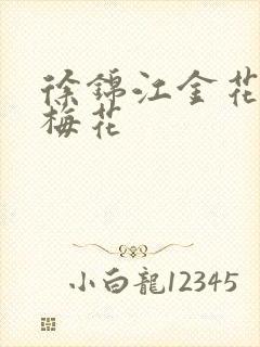 徐锦江金花瓶楷梅花封面