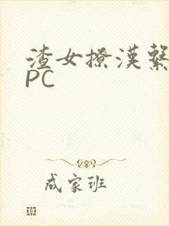 渣女撩汉系统NPC