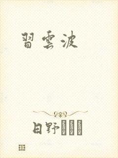 习云波封面