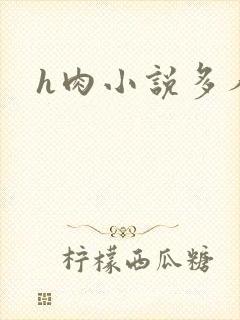 h肉小说多人