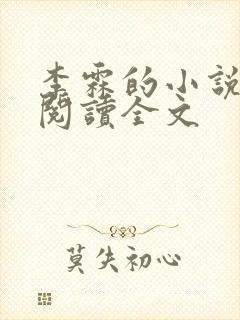 李霖的小说免费阅读全文