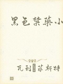 黑色禁药小说