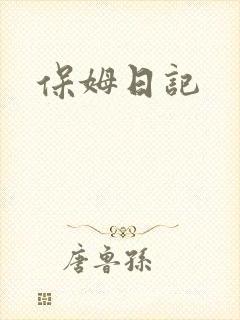 保姆日记封面