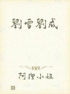 刘雪刘成封面