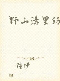 野山沟里的村庄封面