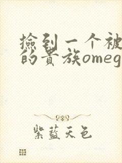 捡到一个被抹布的贵族omega