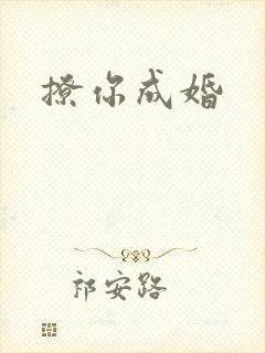 撩你成婚封面