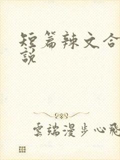 短篇辣文合集小说