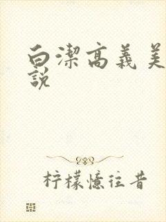 白洁高义美红小说