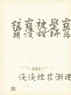 校霸被学霸玩到崩溃甜饼写手封面