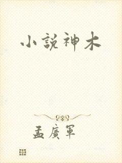 小说神木