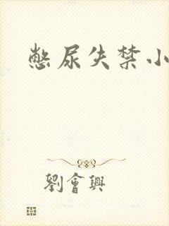 憋尿失禁小说封面