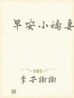 早安小娇妻封面