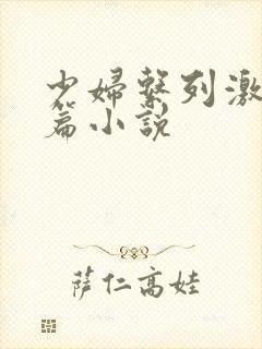 少妇系列激情短篇小说封面