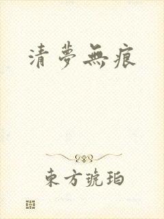 清梦无痕封面
