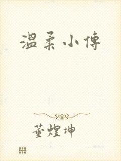 温柔小传封面