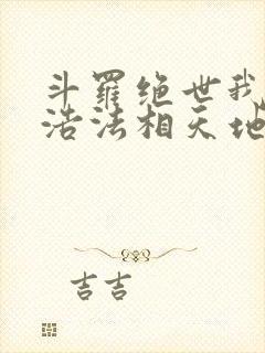 斗罗绝世我霍雨浩法相天地笔趣阁封面