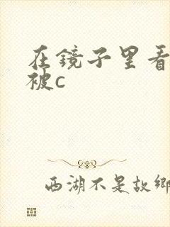 在镜子里看自己被c封面