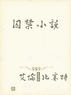囚禁小说