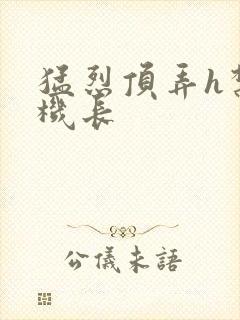 猛烈顶弄h禁欲机长