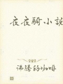 夜夜骑小说封面