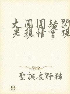 大团圆结闪闪发光亲情会视频