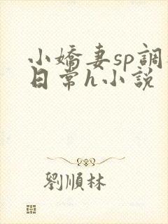 小娇妻sp调教日常h小说封面