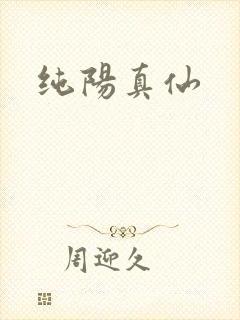 纯阳真仙