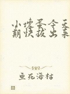 小坏蛋今天危险期快拔出来