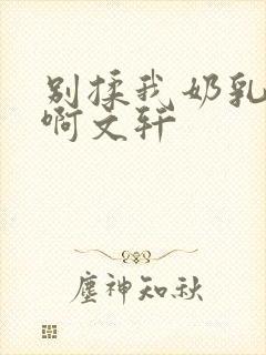 别揉我奶乳嗯～啊文轩