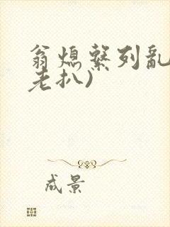 翁熄系列乱 (老扒)