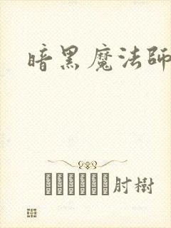 暗黑魔法师封面