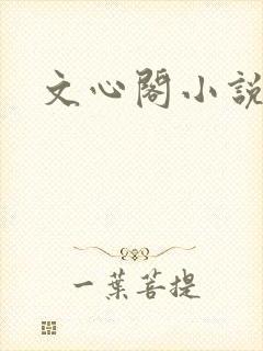 文心阁小说