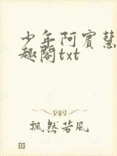 少年阿宾慧钰笔趣阁txt
