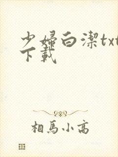 少妇白洁txt下载