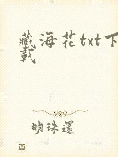 藏海花txt下载