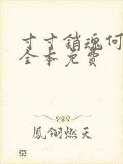 寸寸销魂何生祥全本免费