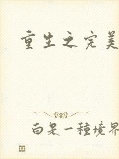 重生之完美一生