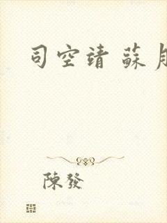 司空靖 苏月汐