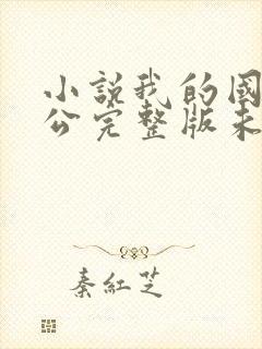小说我的国民老公完整版未删减小说