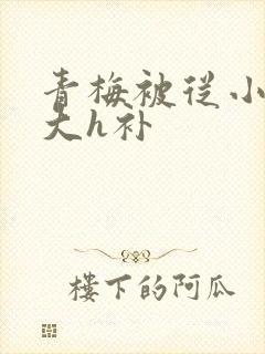 青梅被从小摸到大h补封面