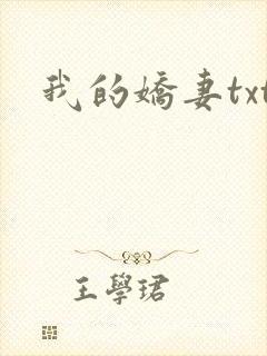 我的娇妻txt封面