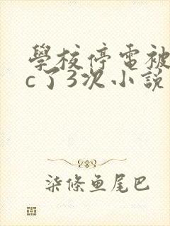 学校停电被同桌c了3次小说