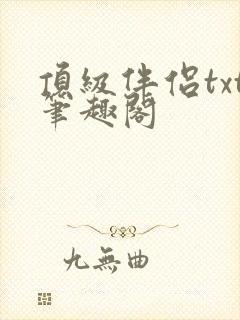 顶级伴侣txt笔趣阁封面