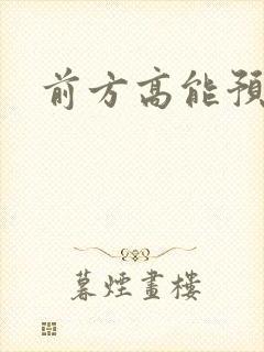 前方高能预警封面