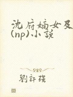 沈府嫡女及笄礼(np)小说